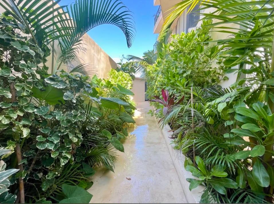 Landscaped garden walkway between tropical plantings
