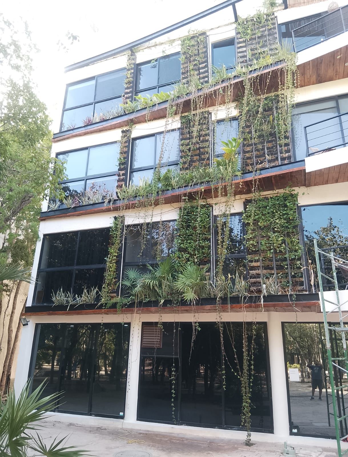 Condominium façade with a restored vertical garden